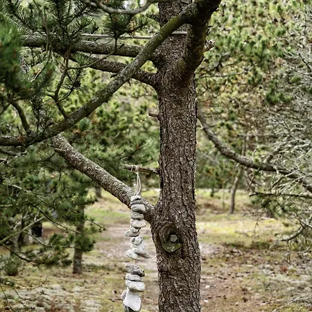 Marvelous Log House By Anholt's Desert